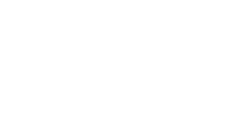 Network of Black Women